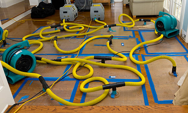 Professional Basement Flood Cleanup technician working in Lawrenceburg, TN